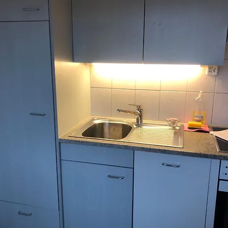 アパート Cozy, Sunny, Center 1 Bedroom Flat