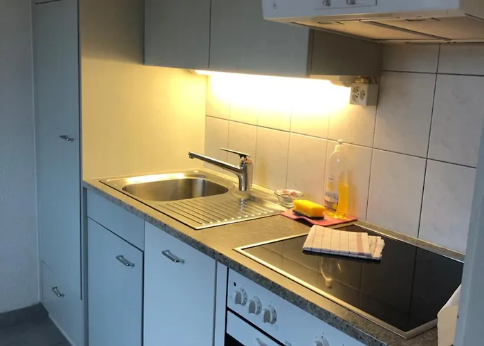 Appartement Cozy, Sunny, Center 1 Bedroom Flat Zürich